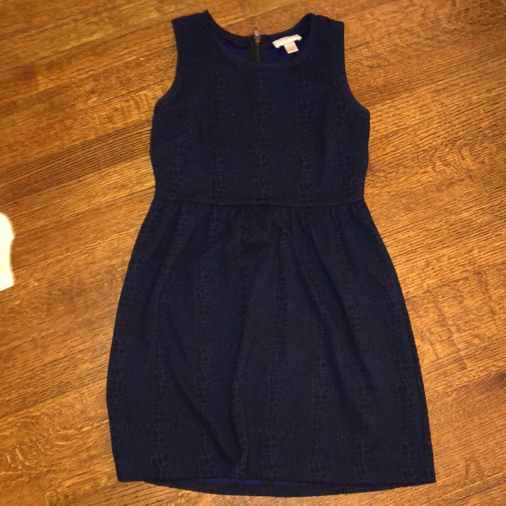 Loft blue and black patterned dress